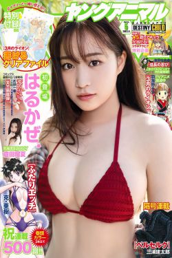 电视剧海天雄鹰